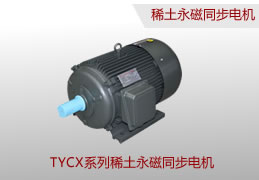 TYCX系列稀土永磁同步電機(jī)