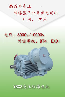 YBX3高壓防爆電機(jī)-6kv，10kv